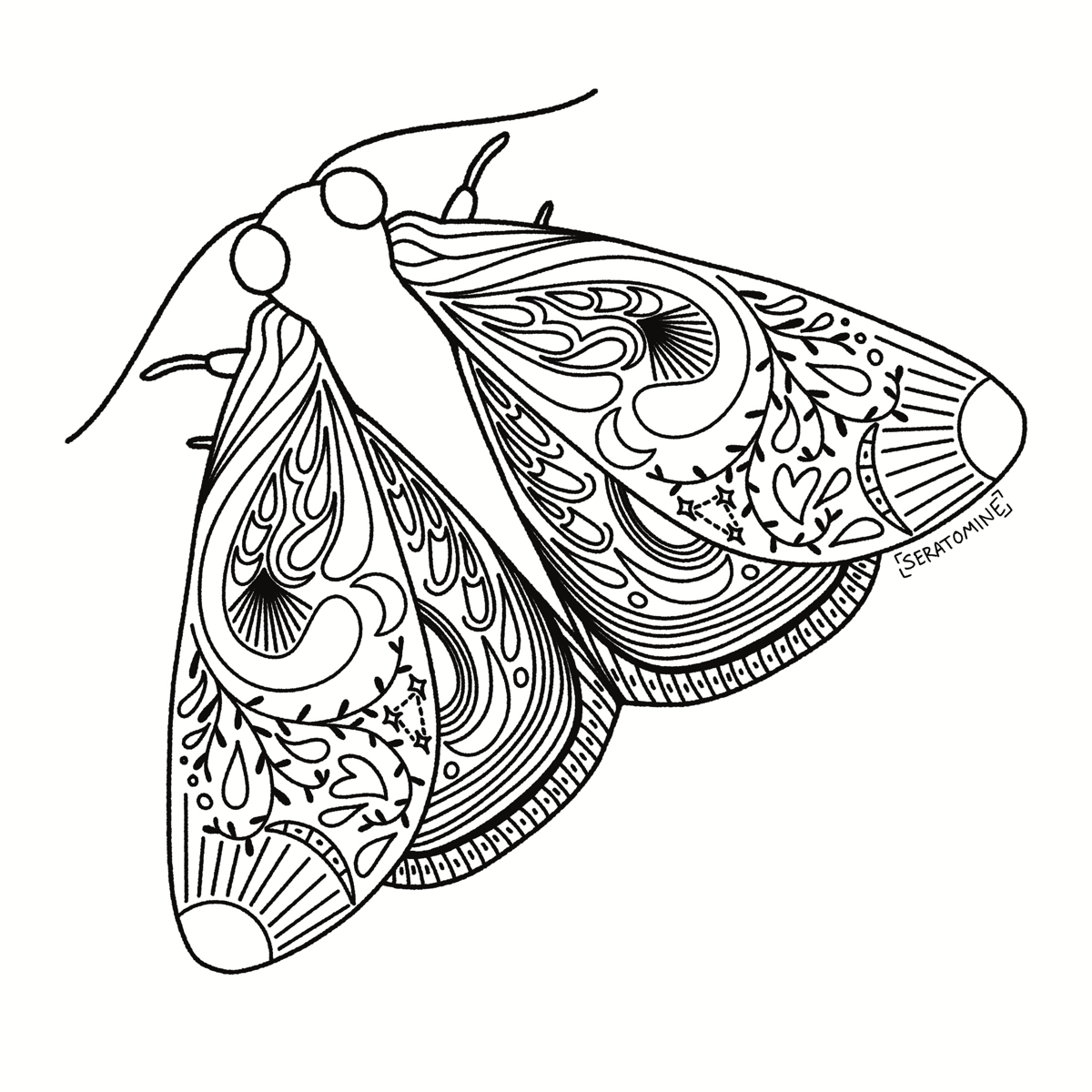 Floral Doodled Zen Moth Meditative Digital Coloring Pages for Adults- Pack of 3