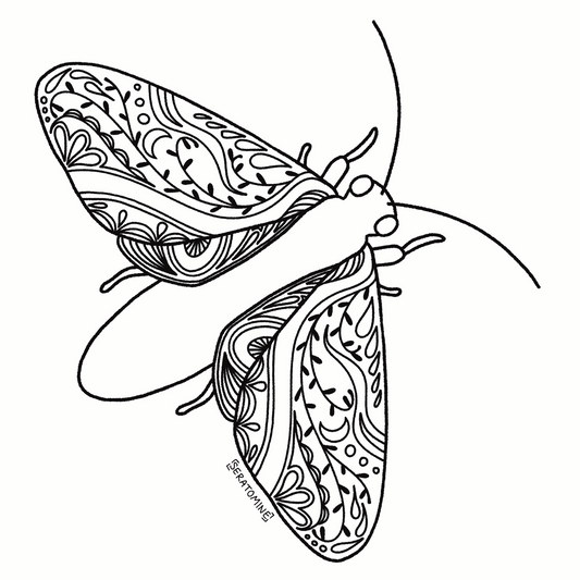 Floral Doodled Zen Moth Meditative Digital Coloring Pages for Adults- Pack of 3