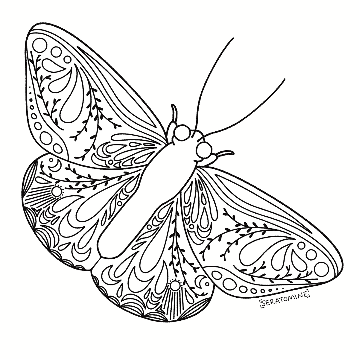 Floral Doodled Zen Moth Meditative Digital Coloring Pages for Adults- Pack of 3